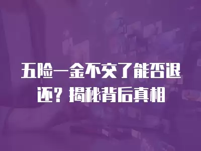 五險(xiǎn)一金不交了能否退還？揭秘背后真相