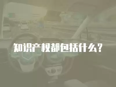 知識產權都包括什么？