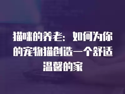 貓咪的養老：如何為你的寵物貓創造一個舒適溫馨的家