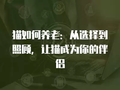 貓如何養老：從選擇到照顧，讓貓成為你的伴侶