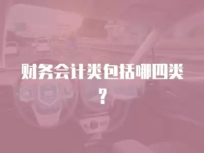 財務會計類包括哪四類?