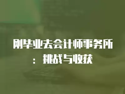 剛畢業(yè)去會(huì)計(jì)師事務(wù)所：挑戰(zhàn)與收獲