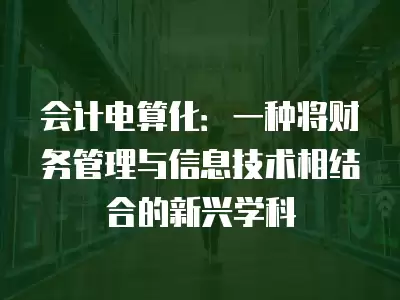 會(huì)計(jì)電算化：一種將財(cái)務(wù)管理與信息技術(shù)相結(jié)合的新興學(xué)科