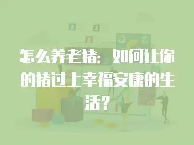 怎么養老豬：如何讓你的豬過上幸福安康的生活？