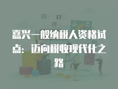 嘉興一般納稅人資格試點：邁向稅收現代化之路