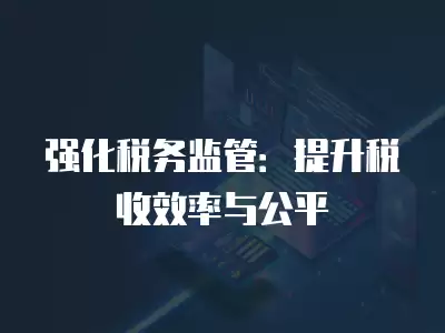 強化稅務監管：提升稅收效率與公平