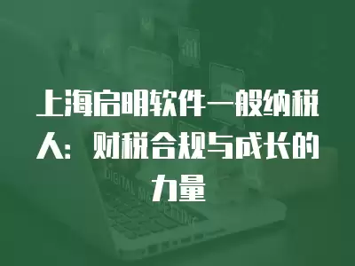 上海啟明軟件一般納稅人：財稅合規與成長的力量