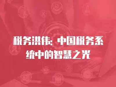 稅務洪偉: 中國稅務系統中的智慧之光