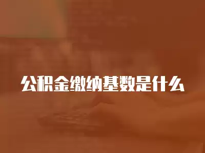 公積金繳納基數(shù)是什么