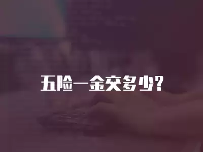 五險一金交多少？