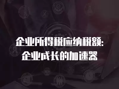 企業所得稅應納稅額：企業成長的加速器