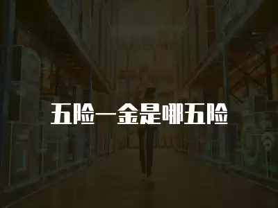 五險一金是哪五險